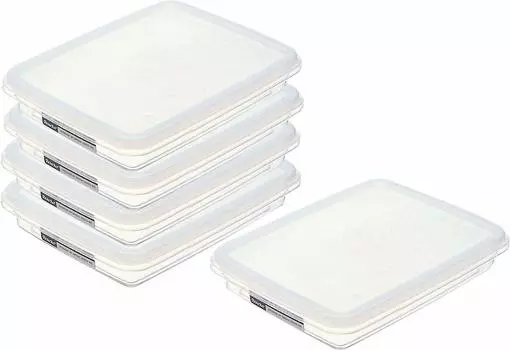 Iwasaki Kogyo Сделано в Японии Коммерческий контейнер для хранения Bat Keeper L Прозрачный Набор из 5 шт. LSX329 2.4L