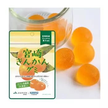 из 10 Kaneka Foods Miyazaki Kumquat Labret Lactic Acid Bacteria Fruit Juice Commercial Large 40g x 10 Bags [Набор Bags] Жевательная, Жевательная, Жевательная, Использование,