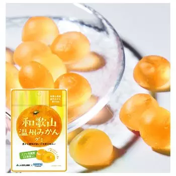 из 10 Kaneka Foods Wakayama Wenzhou Mikan Gummy Fruit Juice Gummy Labret Lactic Acid Bacteria 40 г x 10 пакетиков Gummy Popular Large Capacity [набор пакетов] оранжевый