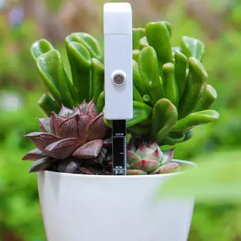 Измеритель влажности почвы Инструмент для горшков Вода для растений