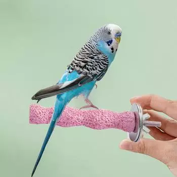 Износостойкая палочка для заточки когтей попугая, стойка для попугая, стержень, игрушки, клетка для птиц M фиолетовый