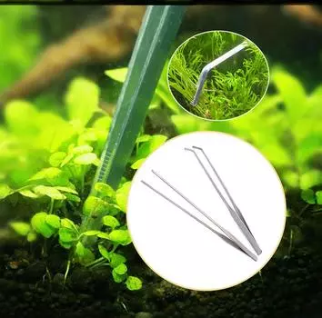 Изогнутые пинцеты для аквариума из нержавеющей стали, пинцет для аквариумных растений и креветок белый