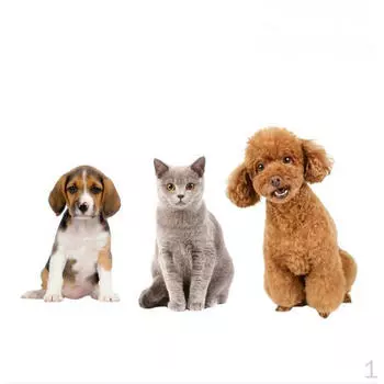 Изогнутый инструмент для стрижки волос Chunker, ножницы для собак, для ухода за истонченными/смешиваемыми кошками и собаками 7 Inch