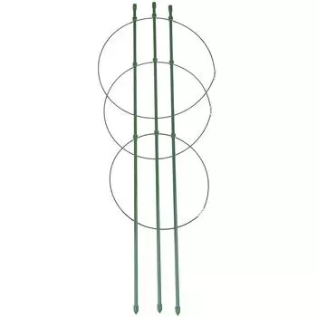 Изрезанная высокая стабилизированная легкая в использовании рамка поддержки зеленого растения с различными способами собрать