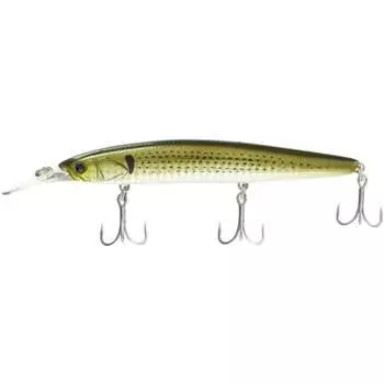 JACKALL Big Bucker Gulf Minnow 128S-LB Konoshiro/Lens Holo