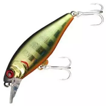 JACKALL Chable SR Champagne Gold Gil