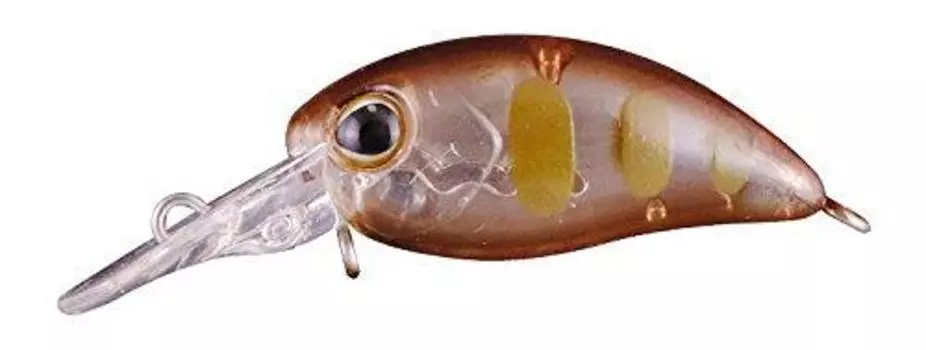 JACKALL Lure TIMON Chibi Panicura Tacky Glow DR-SS Yamame.