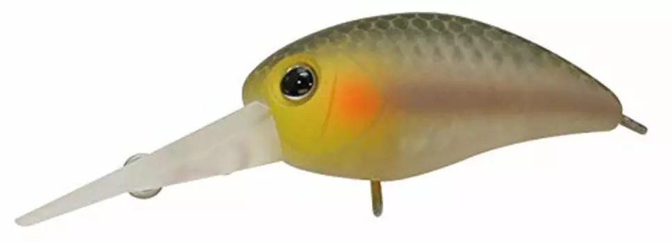 JACKALL Lure Timon Panicura MR Shizuoka Bijin