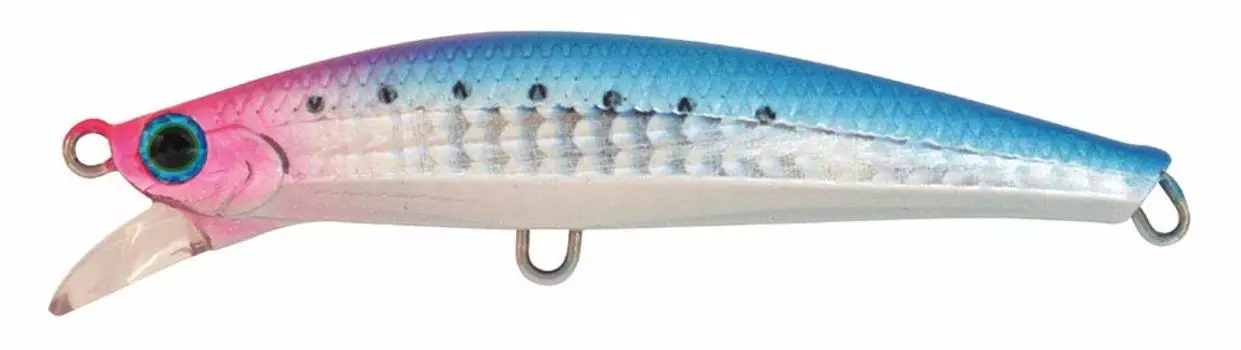 Jackson Lure Pintail Spanish mackerel tune 42g NGR Nagilable Pin