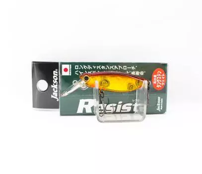 Jackson Resist 45 Floating Lure CAK (6629)