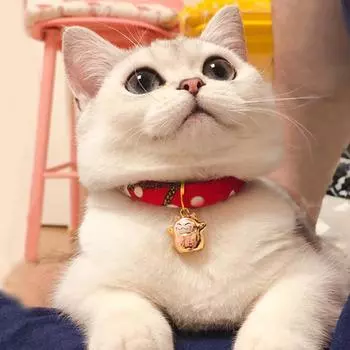 Japanese cat Japanese wind bell multi-color cute accessories cat collar adjustable cat bell dress up pet cat supplies M