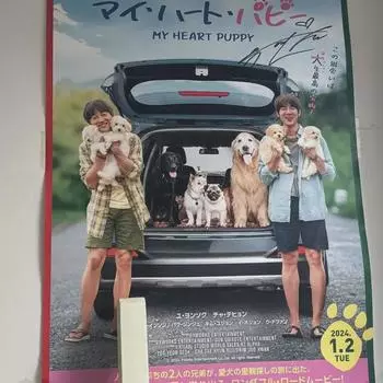 Japanese Idiot Poster Sign By Yeong-seok