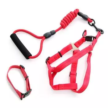 Jarre Aero Bull Teddy Medium Dog Collar Dog Hand Holding Rope XS (Bust size 28-40cm) Red three-piece set
