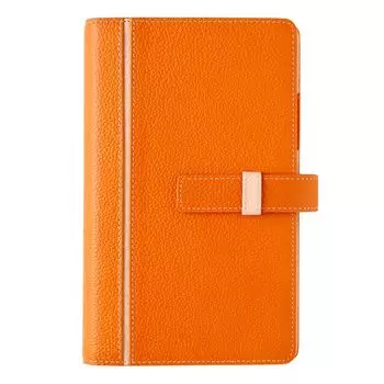 Эффективность Bindex System Notebook NOLTY Unit B15 Bible 6 отверстий Orange BB0013 оранжевый
