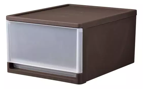 JEJ Astage Stra B4 Dark Brown 34 x Depth 42 x Height Storage Case for Closet Clothes Made in Japan Accessories Organizer [Width 22cm] A$