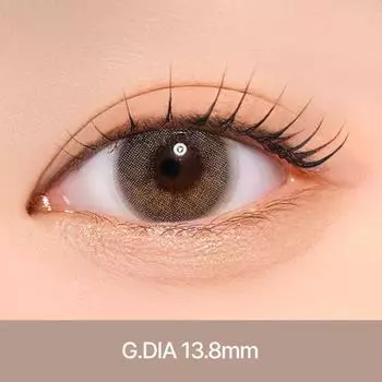 Эйлин Плюс [Серый] Один день 10EA 0.00