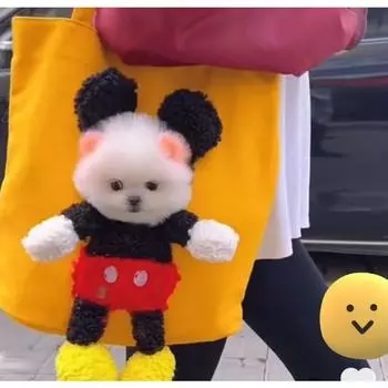 Эко-сумка для собак, сумка для собак, сумка для кошек, холщовая сумка на плечо, тележка для покупок с отверстием для домашних животных, собак, кошек, корейский шампунь для домашних животных