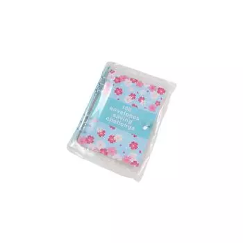 Экономия денег 100 конвертов Экономия 100 конвертов A5 Бюджетные папки Набор Денежные конверты серебряный