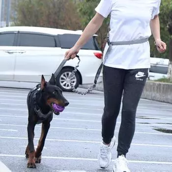 Эластичная буферная взрывозащищенная промывочная многофункциональная цепь для выгула собак, трос для тяги собак, товары для животных, беговой трос