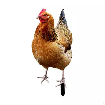 Элегантная металлическая садовая скульптура в виде курицы для наружного декора 33x15.2x0.1cm