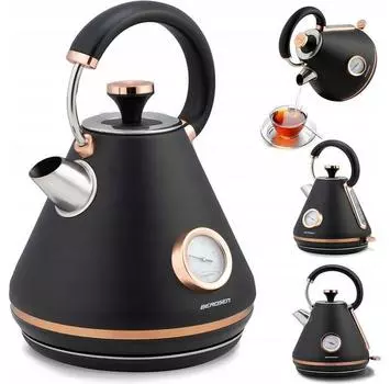 Электрический чайник Berdsen BD-701