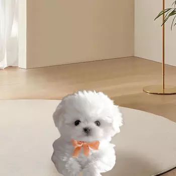 Электронная плюшевая игрушка для собак, ходячая, виляющая хвостом, подарок, интерактивная для женщин белый
