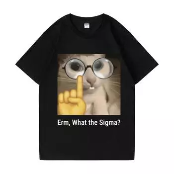 Эм, что за Сигма? Забавная футболка с мемами для мужчин и женщин, модные топы с принтом глупого кота и юмора, хлопковые милые уличные оверсайз с круглым вырезом XS чёрный