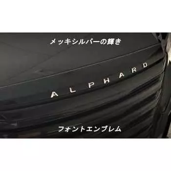 Эмблема RL Индивидуальный шрифт Эмблема с покрытием S/CE739