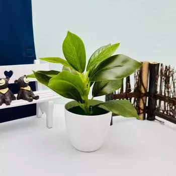 Эпипремнум Золотистый Фиттония Альбивенис Искусственное Растение в Горшке для Домашнего Декора Настольные Акценты StyleA