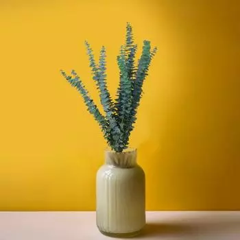 Эвкалипт прекрасно сочетается с освежающим, элегантным, расслабляющим натуральным ароматом, который позволяет вам глубоко вдохнуть целебный аромат природы.