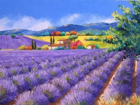 Jigsaw puzzle 500 affordable fun and easy to pieces, size, enjoy. (lavender scenery)