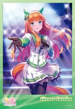 Jigsaw Puzzle Uma Musume Pretty Derby Beyond the Shining Scenery 300 Pieces (300-1995)