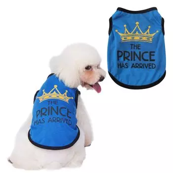 Jimjis Dog Dog Pet Character Tank Dog Pet Going Одежда для предотвращения выпадения волос, одежда для весны и лета, одежда для весны и лета, верхняя часть, тонкая, симпатичная,