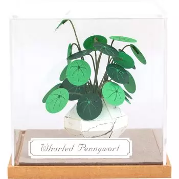 Jintopia Paper Landscape Paper Craft Kit для взрослых, миниатюрная бумага для растений ручной работы с акриловым чехлом Prickly (Опунция)