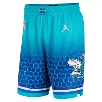 Jordan Баскетбольные шорты Charlotte Hornets SW Fan Edition City Edition Swingman, мужские шорты цвета морской волны DB4128-480 L