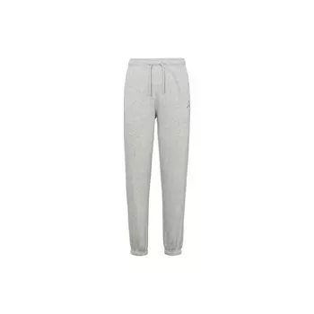 Jordan Брюки женские Brooklyn Classic Air с логотипом и флисовым принтом, светло-серые DQ4479-063 XL