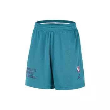 Jordan Дышащие спортивные шорты с логотипом Charlotte Hornets, мужские плавки, бирюзового цвета FB3734-415 XL