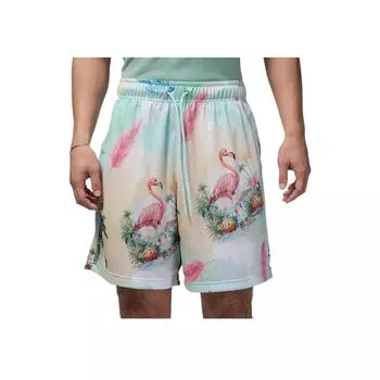 Jordan Essentials SS25 Fashion Simple Popular Versatile Casual Shorts Men shorts Glacier-Blue IB3012-133 M