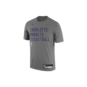Jordan Футболка с круглым вырезом и принтом логотипа Charlotte Hornets, мужская, серая, FJ0171-063 XXL