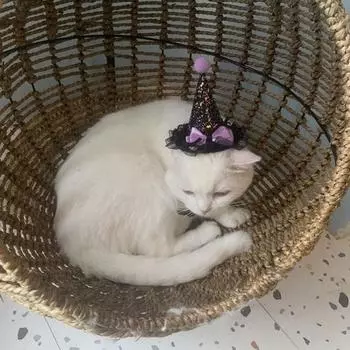Юбка для питомца, регулируемое мягкое платье с пайетками для кошек, забавный костюм для косплея, наряд для вечеринки с кошками, товары для питомцев S 2