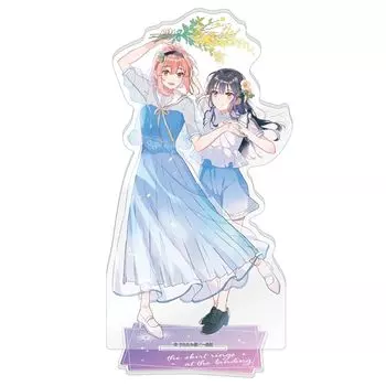 Юбки шуршат на акриловой стойке лестничной площадки