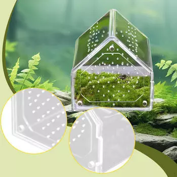 Jumping Enclosure, Feeding Box, Small Acrylic Breeding Terrarium, Gecko Habitat 12cmx12cmx12cm