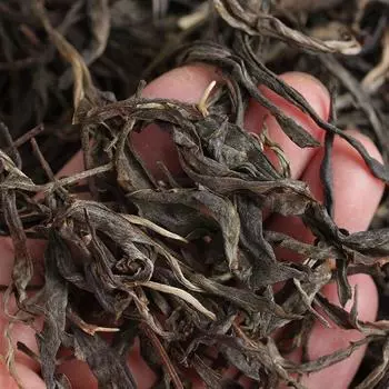 Юньнань Пуэр Чай 2020 Xiaotousai Dashu Old Tree Puerh Сырой чай 500г Рассыпной чай
