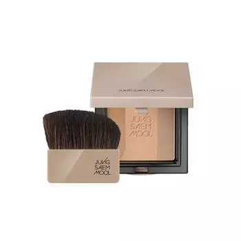JUNGSAEMMOOL Skin Nuder Shading Pact 10 г