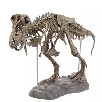 Юрский период DIY скелет динозавра игрушки Tyrannosaurus Rex модель динозавра DIY мальчики девочки with Pigment