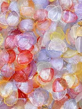 Ювелирные изделия 10 шт. Бусины Лепесток цветка Прозрачные для изготовления ювелирных изделий Акриловые бусины Материалы из бисера 19*23 мм about 19*23mm разноцветный