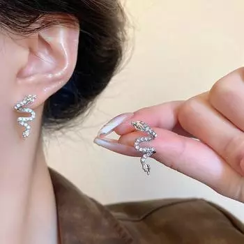 Ювелирные изделия Аксессуары Дракон Серьги-гвоздики Заявление Ювелирные изделия Подарочные Дракон Серьги-подвески Вечеринка серебряный