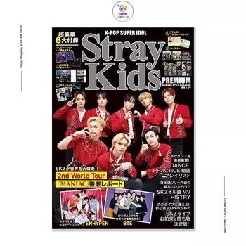 K-POP SUPER IDOL 2023.05 Stray Kids ПРЕМИУМ