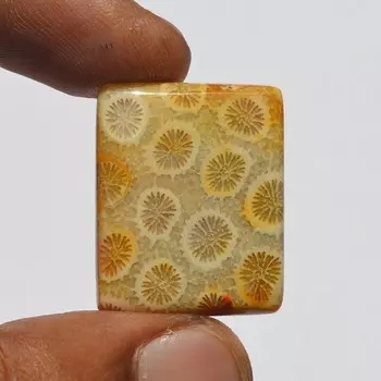 Кабошон из натурального коралла, высококачественный индонезийский кабошон из коралла, поставка изделий из коралла 33 карата, прямоугольная форма, изготовление ювелирных изделий 21x21x5.3 MM коричневый