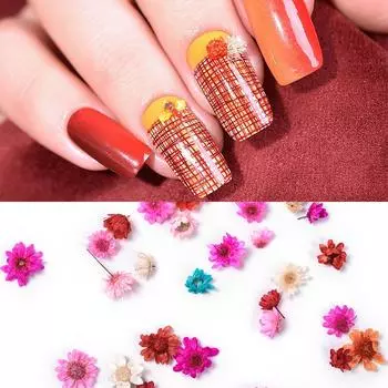 KADS 10 шт. Цветочные украшения для ногтей в случайном порядке Красочные украшения для ногтей